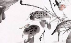 汇总超全的女孩名字列表，带有色彩属性，让你挑选名字更加得心应手！