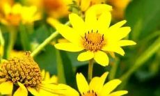 朦胧中梦见覆盖厚厚的白雪，仿佛置身于银白世界之中