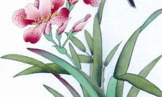 62种不同生肖代表的人的2022年感情运势——以代表勇气和独立的生肖“虎”为例