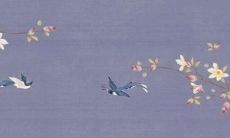 隆重介绍：1971年属猪的51岁人2022年每月运势全剖析！