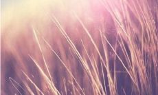 请问什么是戊申月？这个月份对应的是哪个历法？