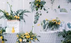 探究三座金字塔与十二星座的神秘对应关系