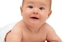 探索如何为你的宠物犬选择一个优美动听的名字，并让其在这个世界上脱颖而出