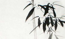 探究2022年双子座女性的爱情运势：机遇与挑战并存