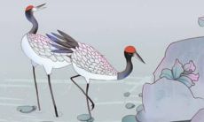 探寻91年出生属羊女在2022年全年的吉凶祸福：流年运势详解