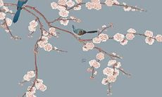 无烂桃花，幸福可期——针对81年属鸡的2022年桃花劫问题的避免措施