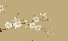 富有诗意且动听的帮派名称推荐