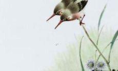 如何给草莓园取一个响亮动听的名字？