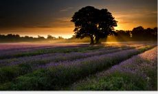 堆上的灯火覆盖，寻找其配对的命相：路边土堆的启示