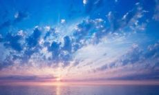 庚子日柱男命的婚姻配偶情况：体型匀称且身高较高的倾向性较强