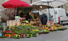 恋爱中做梦梦到与男友订婚，这是否预示着未来会变得甜蜜且稳定？