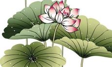 2022年度八字运势详细测算与分析，准确揭示吉凶事宜及应对方法