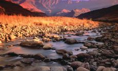 庚子日出生者的个性特点和命运前景探究：健康状况良好，值得重视！