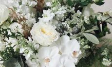 哪些星座容易对感情不专一？