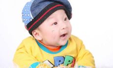 绝美优雅的鸟类名称，让你真正感受自然之神的鬼斧神工之美！