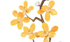 孩汇总 - 非常地赏心悦目和令人留恋的迷人欧美男性姓名盘点！