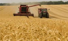 在梦中看到香气扑鼻的热气腾腾的窝头，引发别样的感悟和回忆