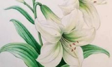 免费取名字大全及查询服务，让您寻找最佳称谓不花一分钱！