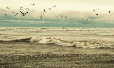 夜晚梦境中失落鞋子，寻觅无望的绝望之路