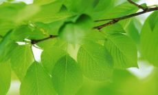 白羊座与哪些星座不合适？3月25日为何成为了焦点日期进行星座配对分析？