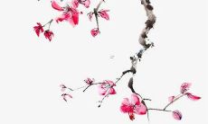 教学楼名称精选大全：让你的学校更加别具匠心的课程大楼、宛若秘境的学术殿堂、破浪前行的知识宝库等引人入胜的建筑名称一网打尽！