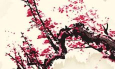 赏析：令人心动的俄罗斯女孩名字——美丽、多彩而充满魅力的名字汇总