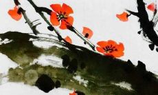 一份值得借鉴的收集精美和具有个性的既美丽又独特名称的清单