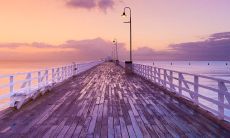 在农历中，丁亥月应被归类为阴月还是阳月？