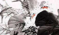 如何在CF手游中起一个让人耳目一新的、好听的独特游戏昵称？