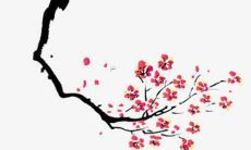 经验分享：2022年生肖虎男宝宝取名最佳的字和注意事项推荐