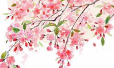 超级酷炫且引人注目的独特单名字推荐！