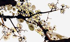 让人陶醉的美妙酒名：探究最让人心驰神往的饮品命名创意