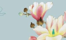 2022年90后女性的婚姻运势：预测与解析