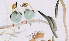 展示出中国女性个性与美丽的电影：以国产女孩名字为主题的画面大片