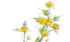 2022年全新男孩小名推荐，精选洋气又时尚的彩虹名字，助你为孩子开启独特之路！