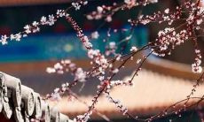 收集所有令人心驰神往的大学名称汇总大全