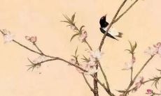 以“伊”字结尾的名字所拥有的高姓女孩 ：带有“伊”字的名字是哪位姓高的女孩所拥有的？