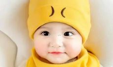 在梦中经历搜寻、拾集和品尝栗子的奇幻之旅