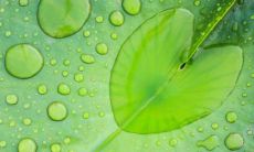 女性佩戴碧玺需注意的禁忌，哪些人不能戴碧玺？