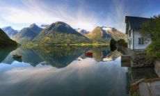 种植枸杞有风水禁忌吗？探讨枸杞树的风水象征和意义