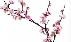 10个让人心动的英文游戏名称——欣赏篇