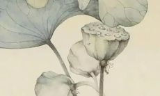 如何在与女孩子相遇时巧妙地介绍自己的姓名？