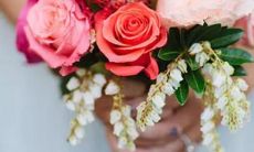 狮子座：是否真的名副其实地被称作为白莲花婊？