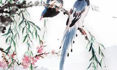 2022年出生于甲戌年的人运势展望：会如何发展？