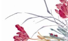 感性独特的创意，让你点燃三国杀热情：推荐一批令人耳目一新的三国杀角色名字！