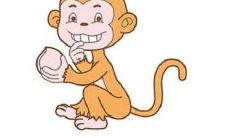 根据生肖，出生于猴年的人的运势分析及推荐措施