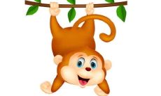 通过巧妙变化、机智应对，展现多面技能并化解难题的一生肖