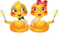 2013年出生的人属于哪个生肖并具有何种命运？