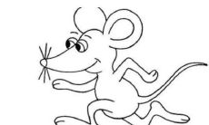 关于属鼠人士：2021年整年的运势和每月运程详解