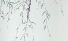 2022年，狗年出生的人的运势分析：预测、趋势及建议